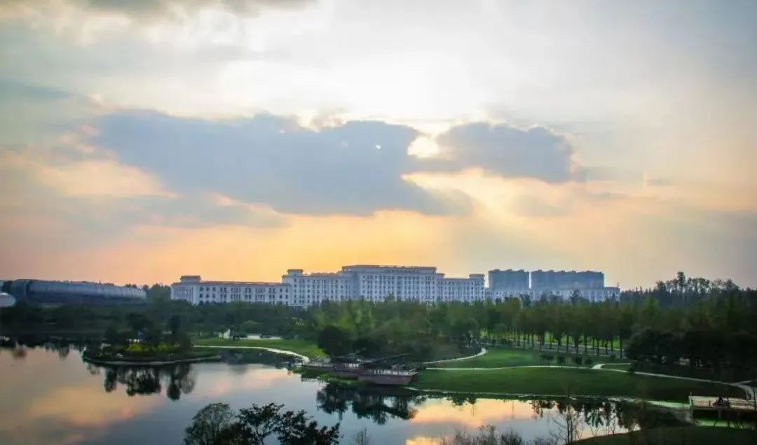 大学“卷王”专业排名！过来人：快逃！